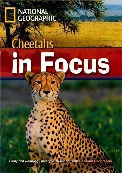 Footprint Reading Library-Level 2000 Cheetahs in Focus