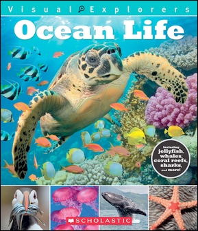 Visual Explorers: Ocean Life (11003)