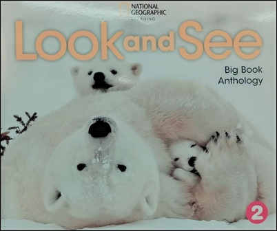 Look and See (2) Big Book Anthology