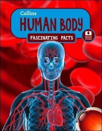Collins Fascinating Facts - Human Body