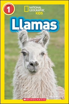 Llamas (11003)