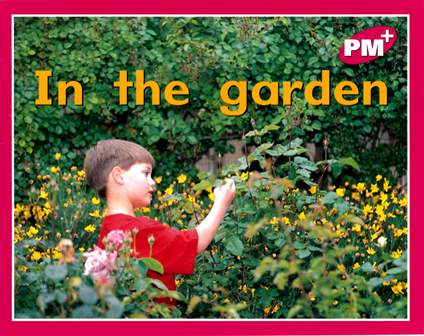 PM Plus Magenta (1) In the Garden