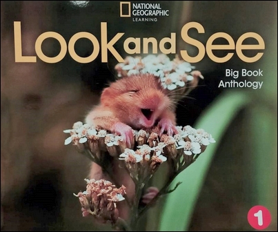 Look and See (1) Big Book Anthology