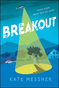 Breakout (11003)