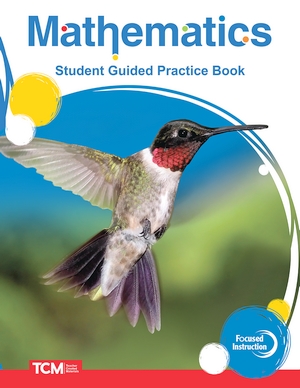 Focused Instruction: Mathematics Intervention: Level 2: Student Guided Practice Book